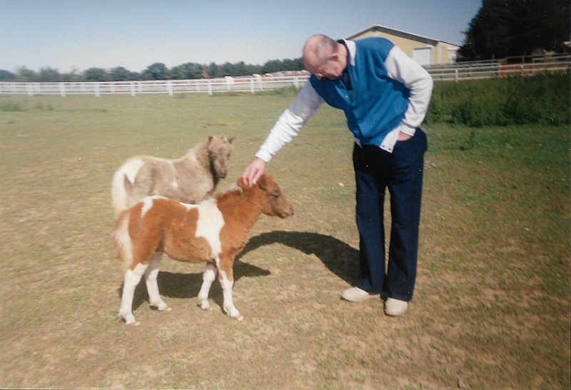 Ray Suring mini horses2.jpeg